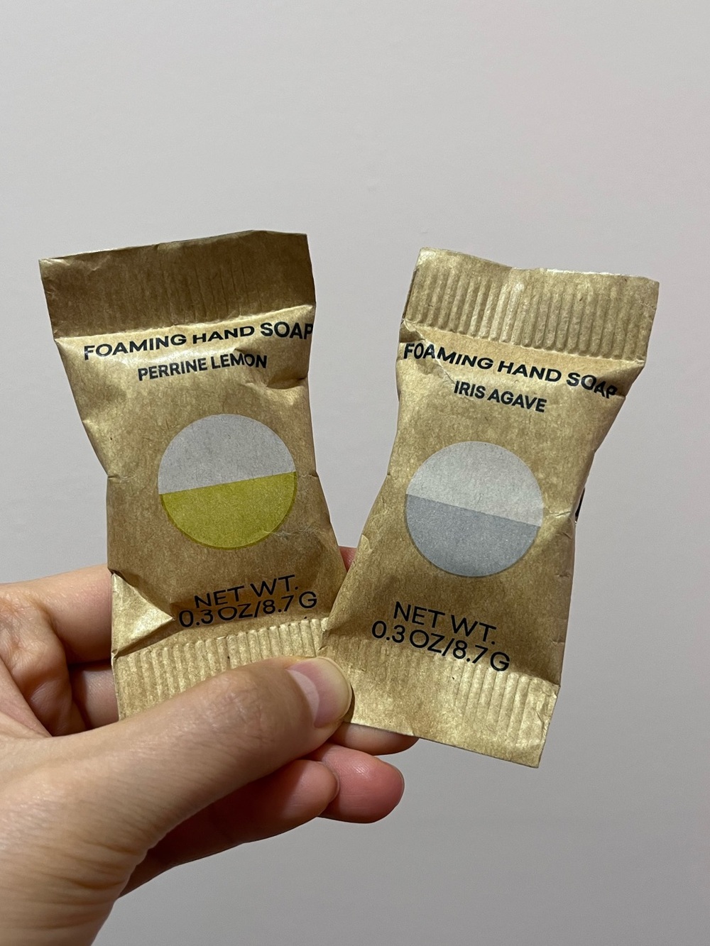 Blueland Foaming Hand Soap Refill Tablet